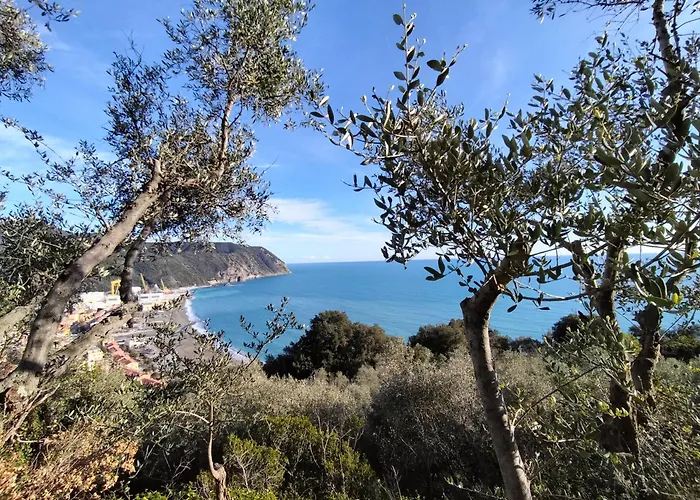 La Casa Di Zora